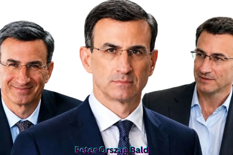 Peter Orszag Bald: What We Know About His Appearance